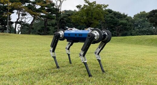 KAIST HOUND2 quadruped robot standing on grass